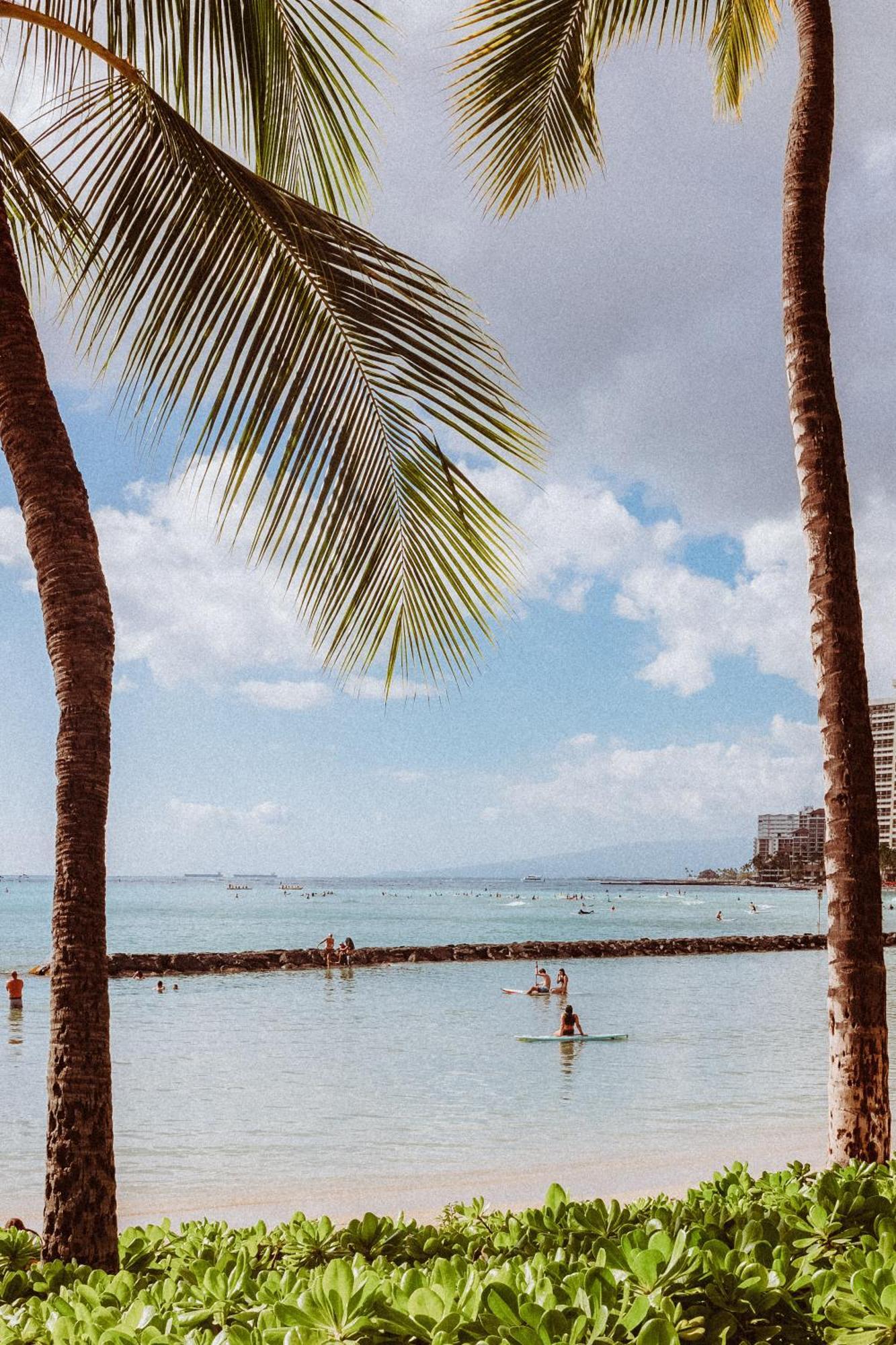 Royal Grove Waikiki Hotel Honolulu Bagian luar foto